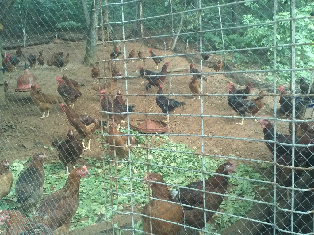참나무골 이미지