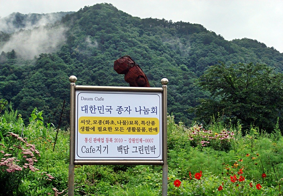 백담광고 이미지