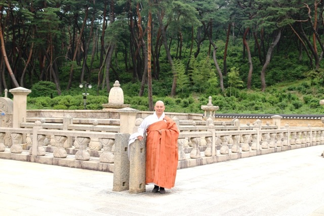 선*효 이미지