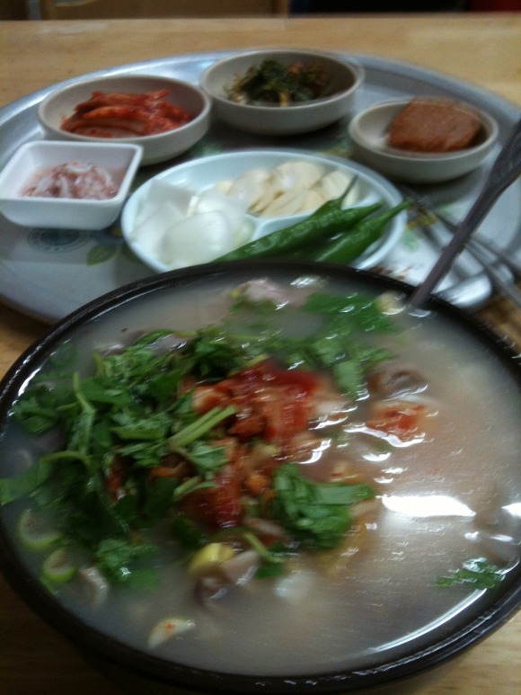 밀양돼지국밥 이미지