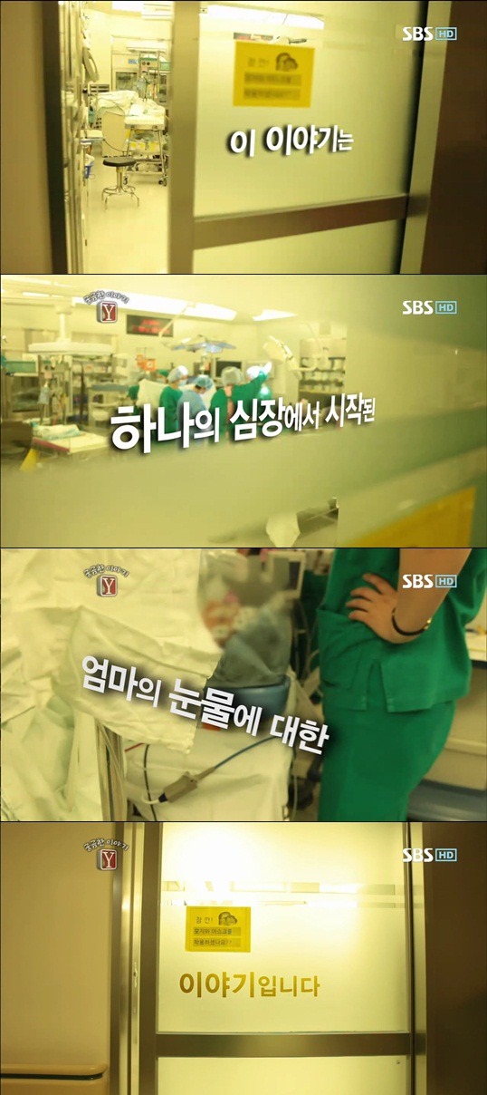 궁금한이야기 Y 샴쌍둥이 이야기 | 인스티즈