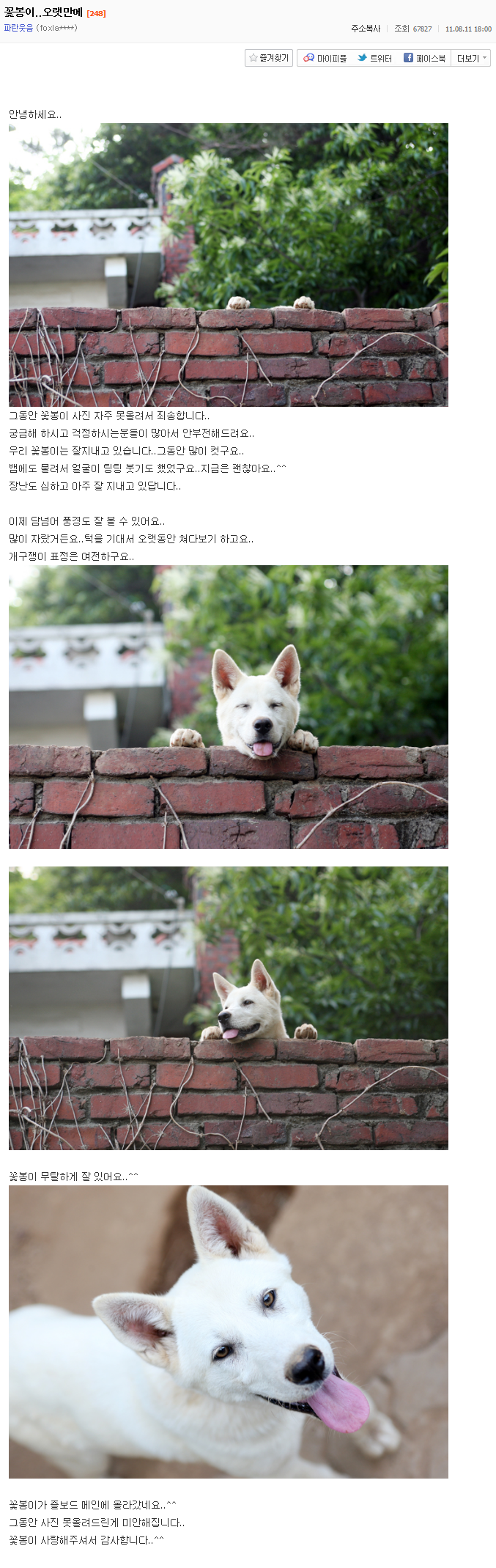 사랑스러운 시골강아지 꽃봉이의 하루.jpg | 인스티즈