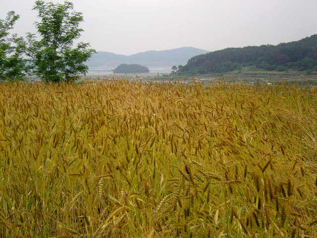 보리창고 이미지