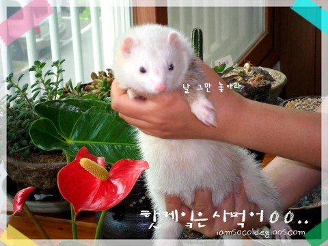 잠티 이미지