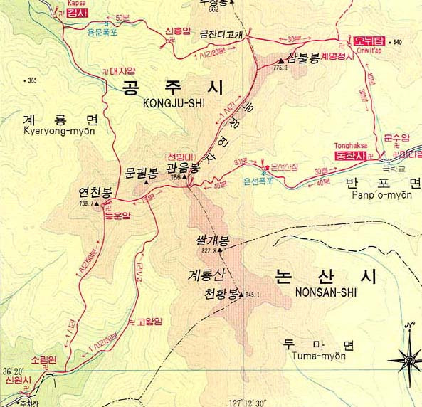 수려한 닭 이미지