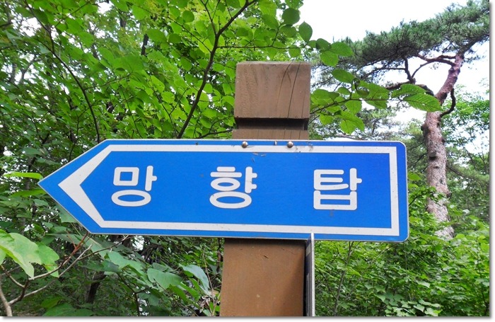 강원동강래프팅 이미지