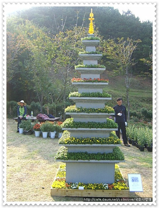 디자인탑 이미지