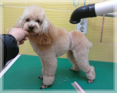 제일미용타운 이미지