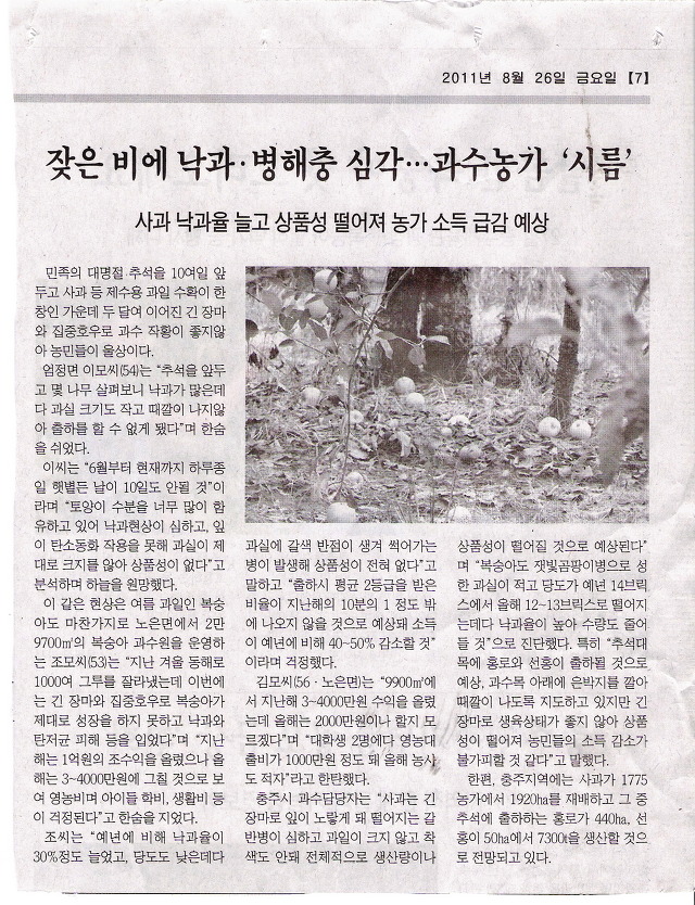 여기가그사과 이미지