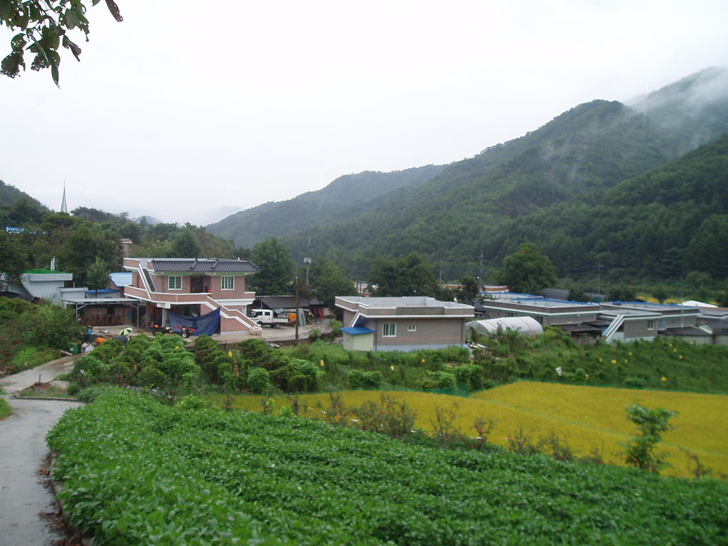 리찌 이미지