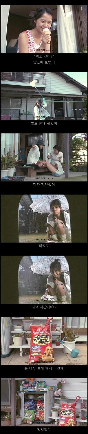 개의 일생 | 인스티즈