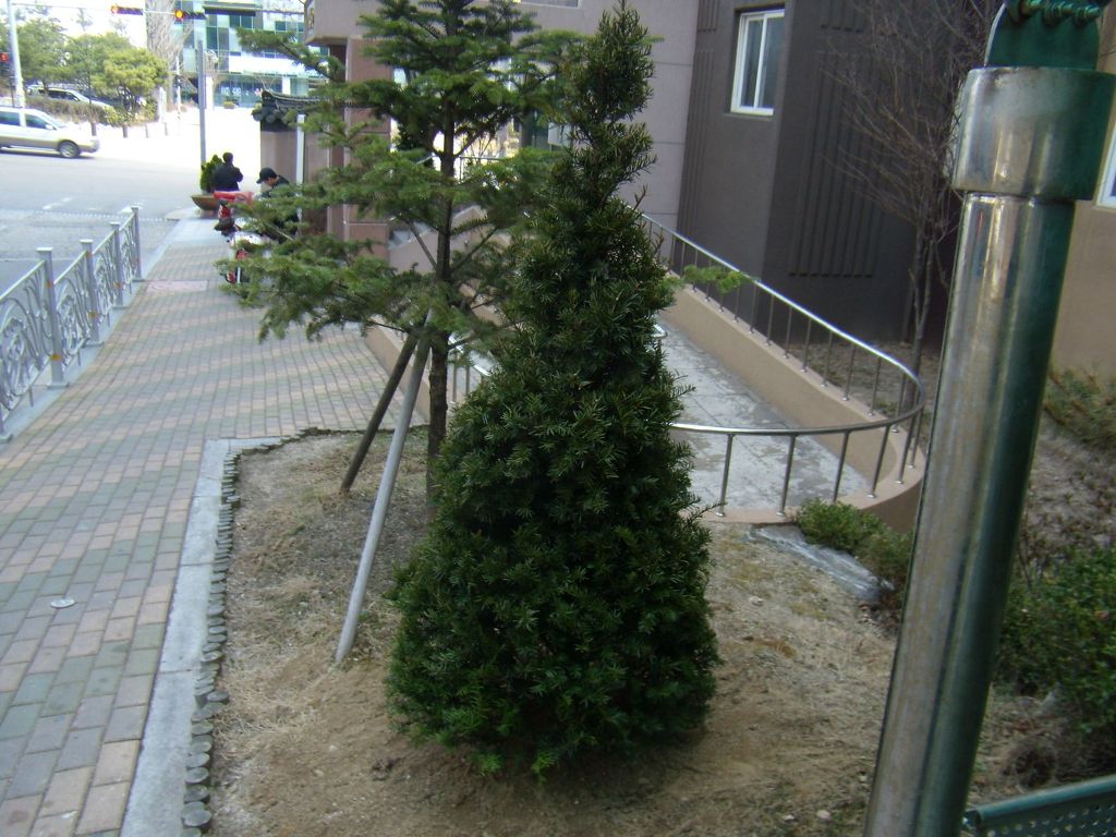 상산조경 이미지