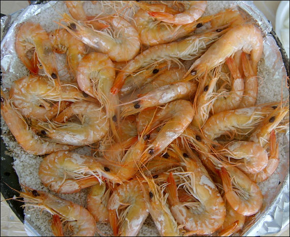 대하 이미지