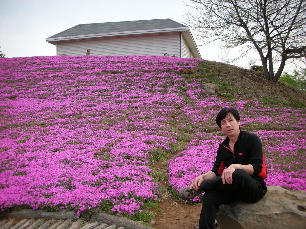 풍각쟁이 이미지