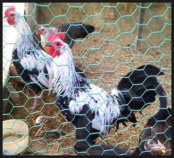 모아모아추풍령 이미지