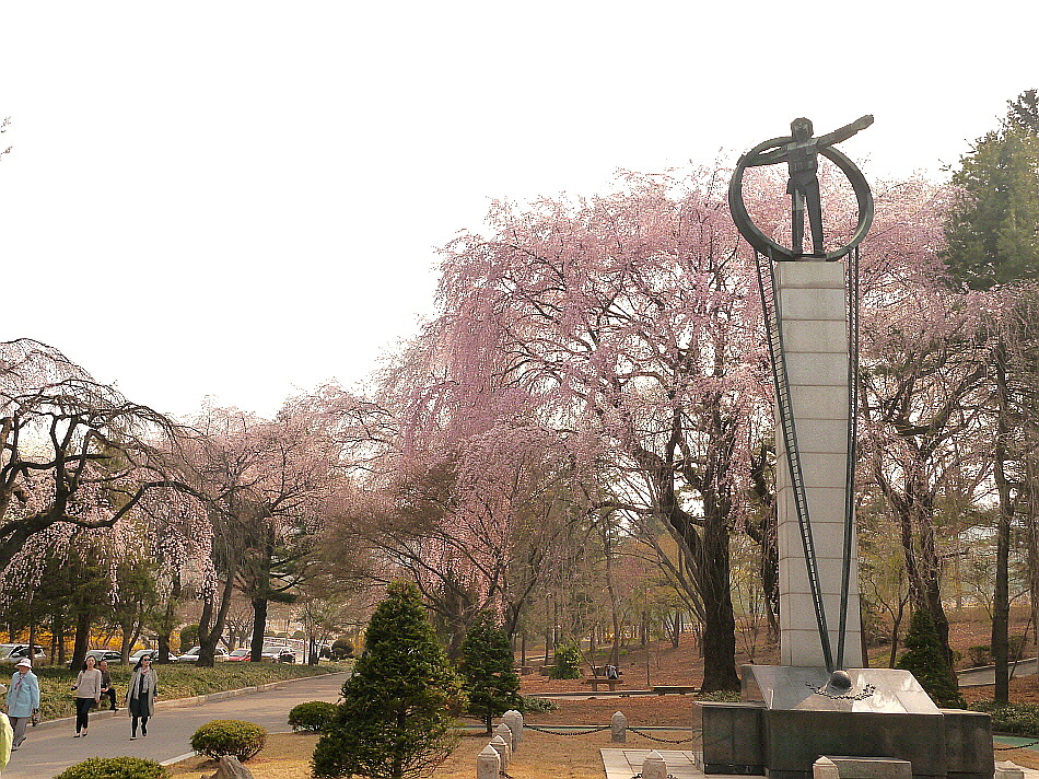 설울 이미지