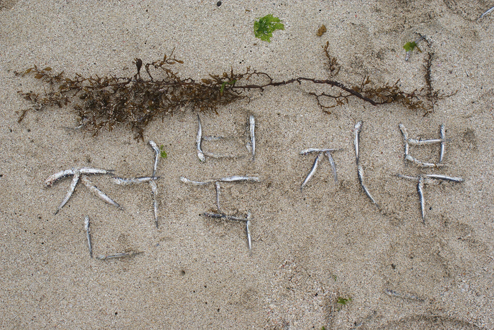 격포주유소 이미지