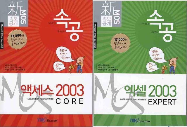 엑세스엑셀 이미지