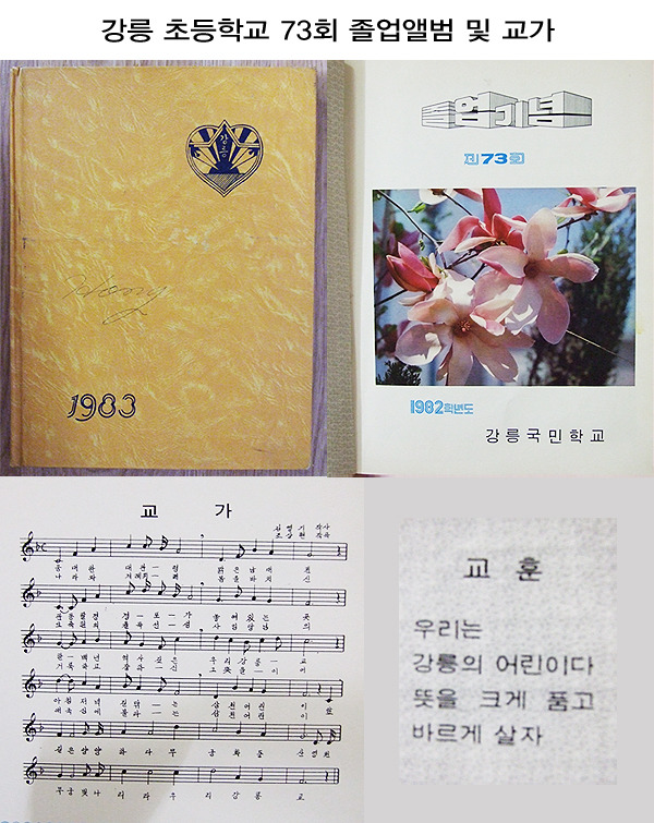 강릉초등학교 이미지