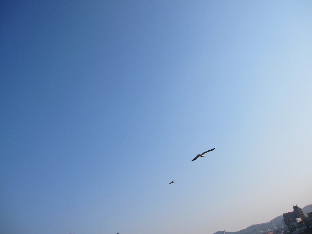 선창 이미지