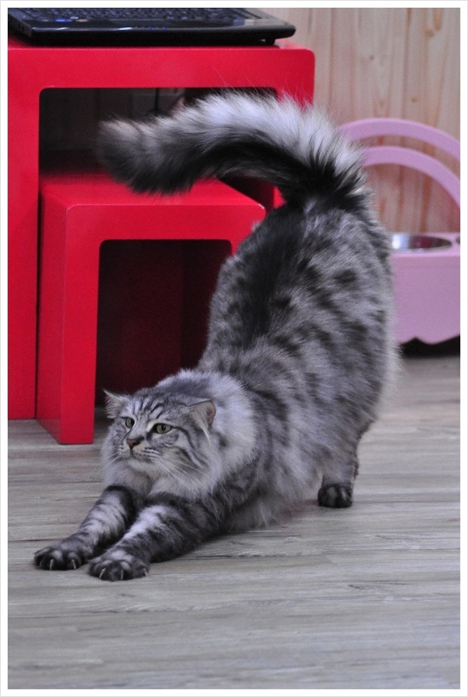카페위드 이미지