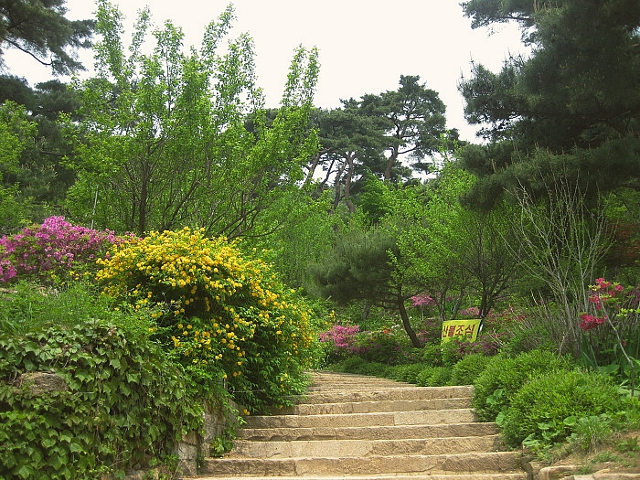 석모도 자연휴양림 이미지