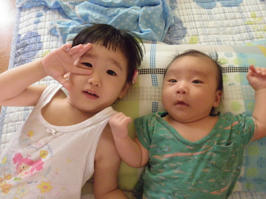 모경 이미지