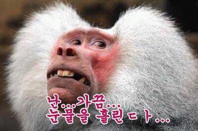 미소 이미지