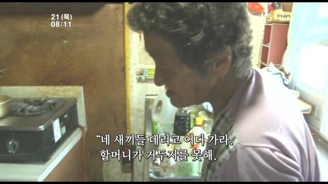 고양이 구박하는 훈할머니.JPG | 인스티즈