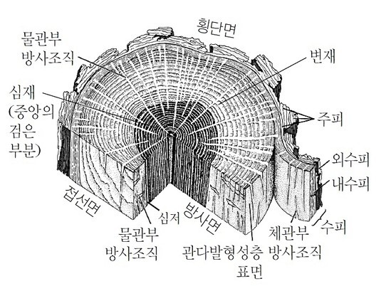 이심재 이미지