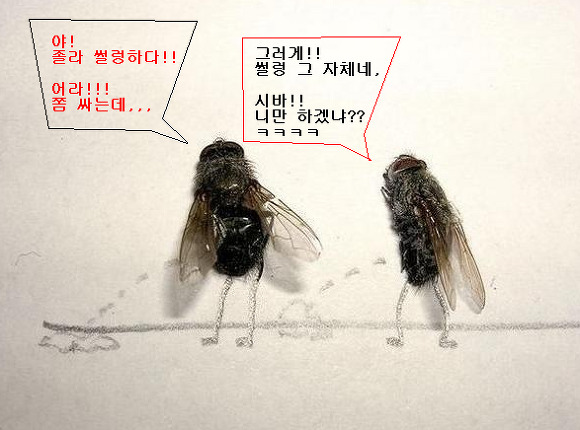 추억코너주점 이미지