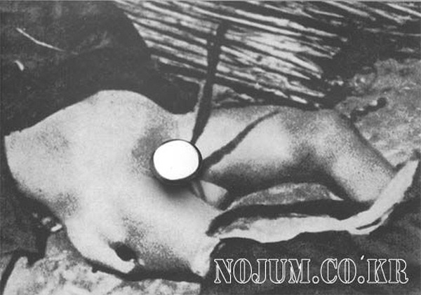 세상에서 제일 더럽고 뻔뻔하고 잔인한나라.jpg | 인스티즈