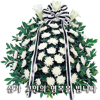 신*성 이미지