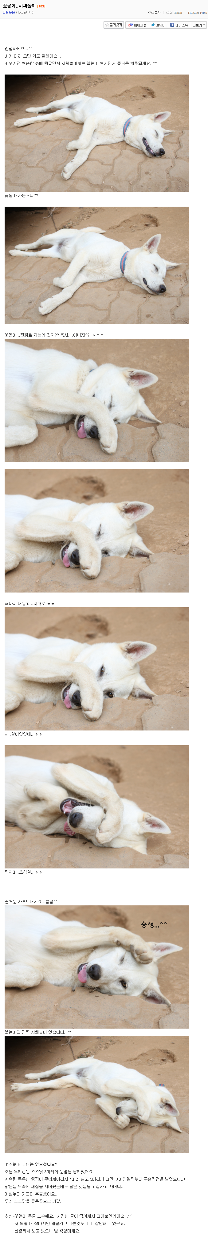 사랑스러운 시골강아지 꽃봉이의 하루.jpg | 인스티즈