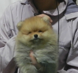 야야 이미지