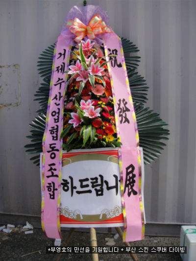 부영호 이미지