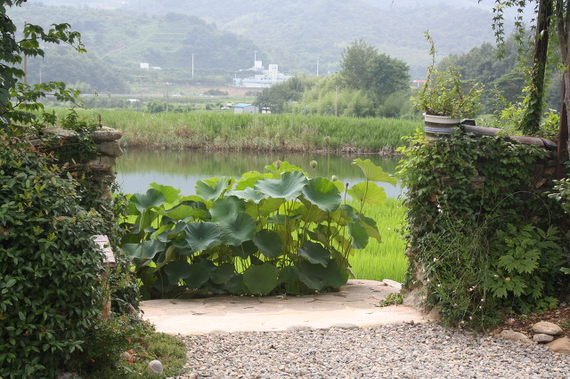 서래원 이미지