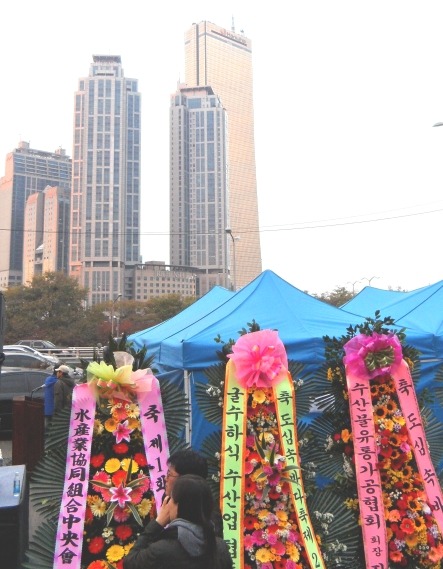 아라수산 이미지