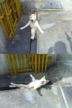 거기서 이미지