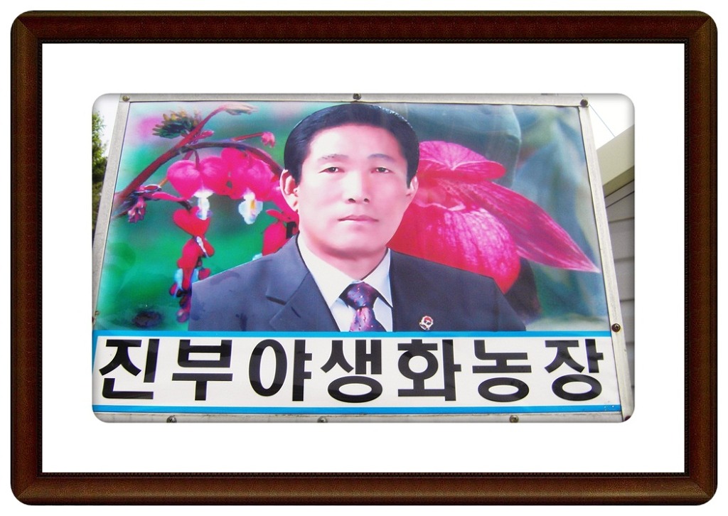 진부2 이미지
