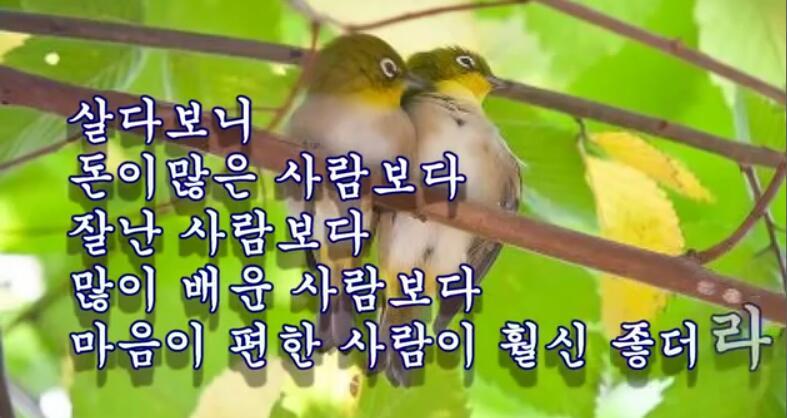 갈매기집 이미지