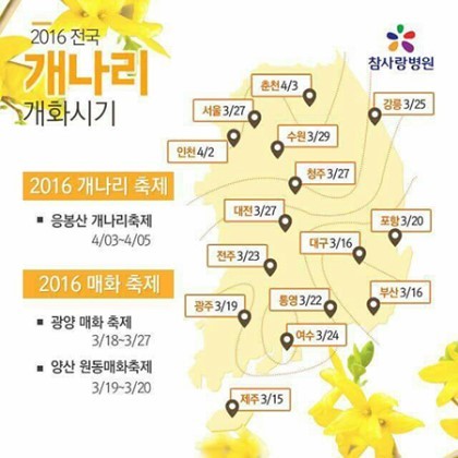 2016년도 올해 봄꽃개화시기&축제기간 | 인스티즈