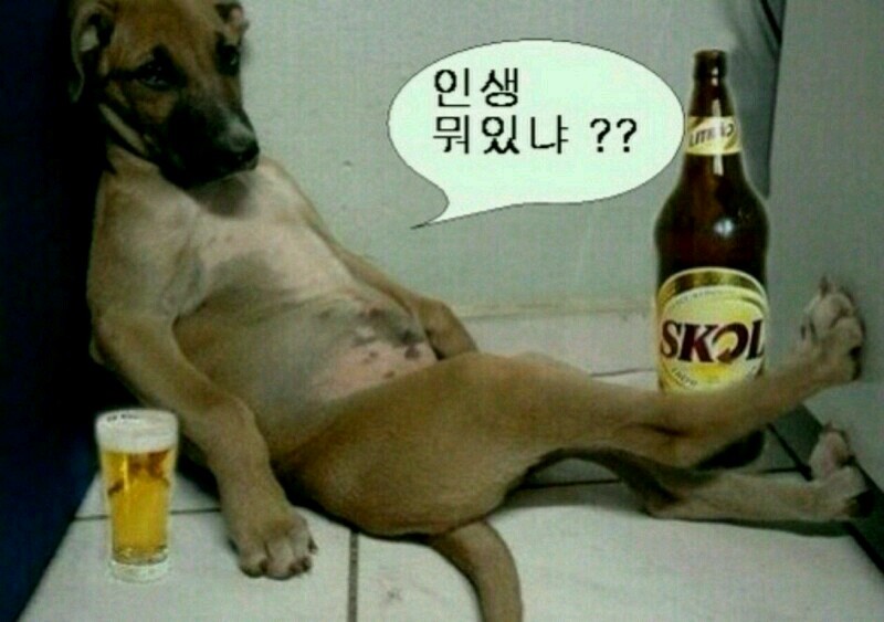 고목다방 이미지