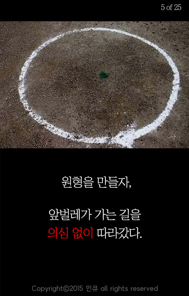 응원받아 마땅한 사람들 | 인스티즈