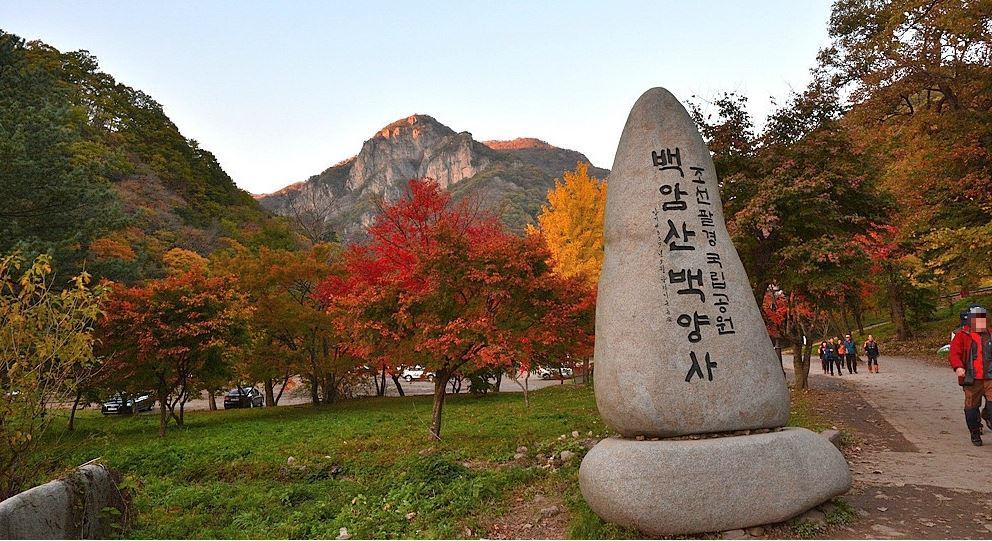 칠곡현대주유소 이미지