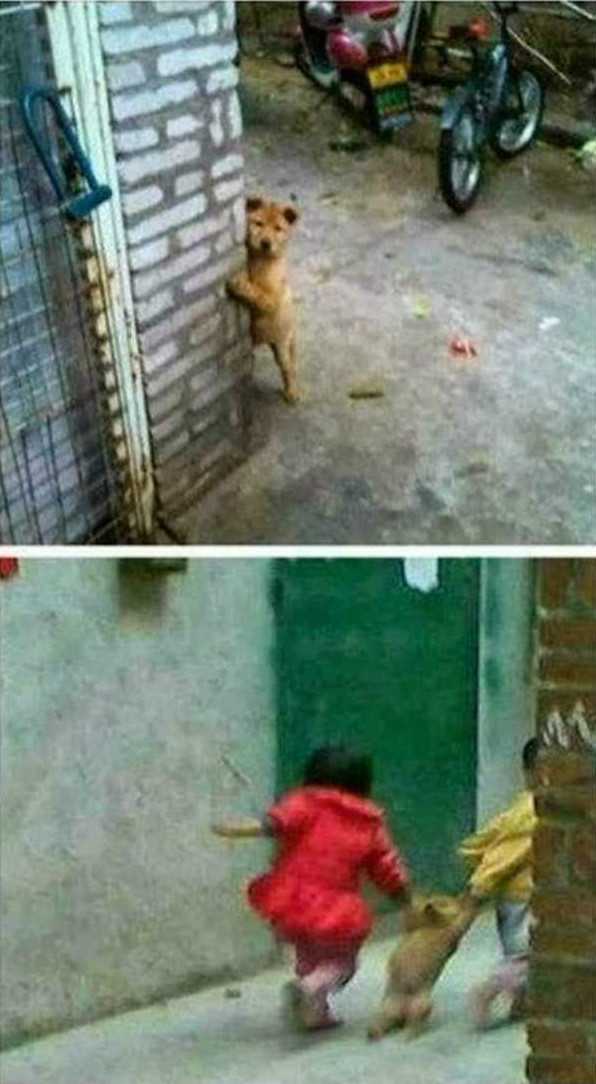 바라 이미지