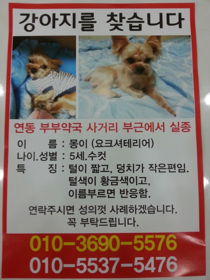 뉴월드마트로주 이미지