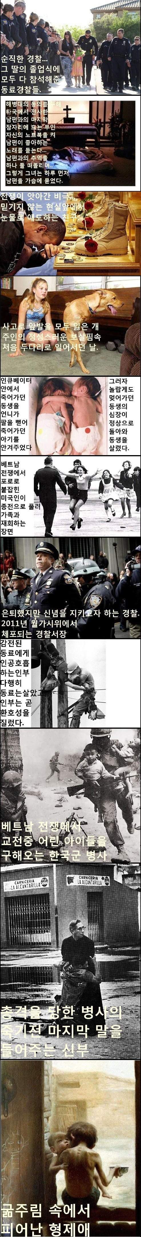 가슴 먹먹해지는 사진들 | 인스티즈