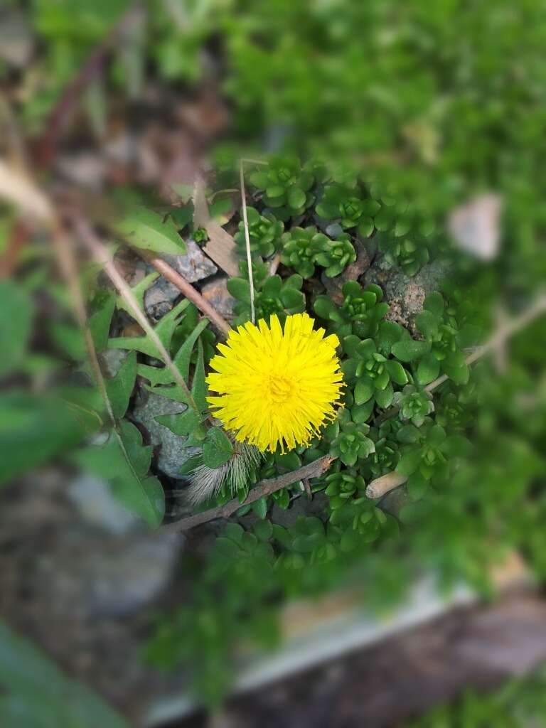 다문화마트 이미지