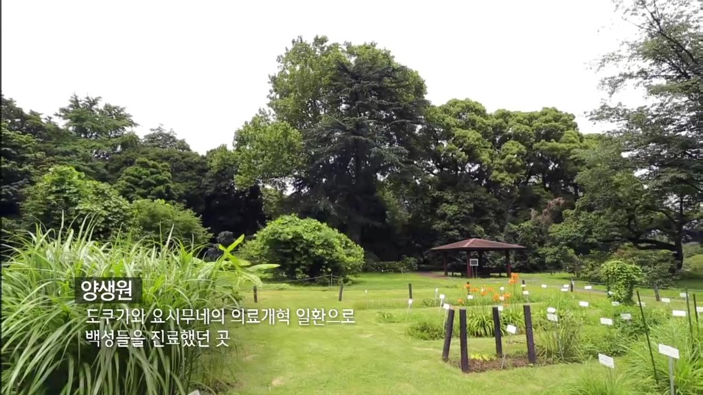 세계가 말하는 한의학과 동의보감 | 인스티즈